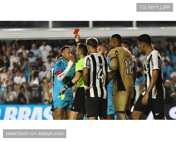 巴西排球内马尔托强力扣球,大比分取胜